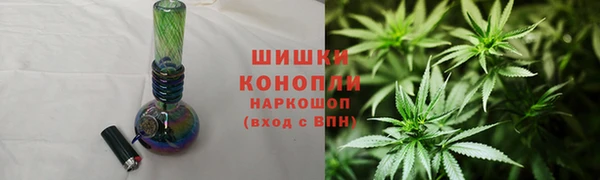 индика Белокуриха