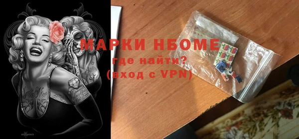индика Белокуриха