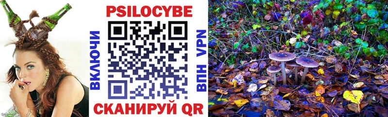 Псилоцибиновые грибы Psilocybe  Малая Вишера 